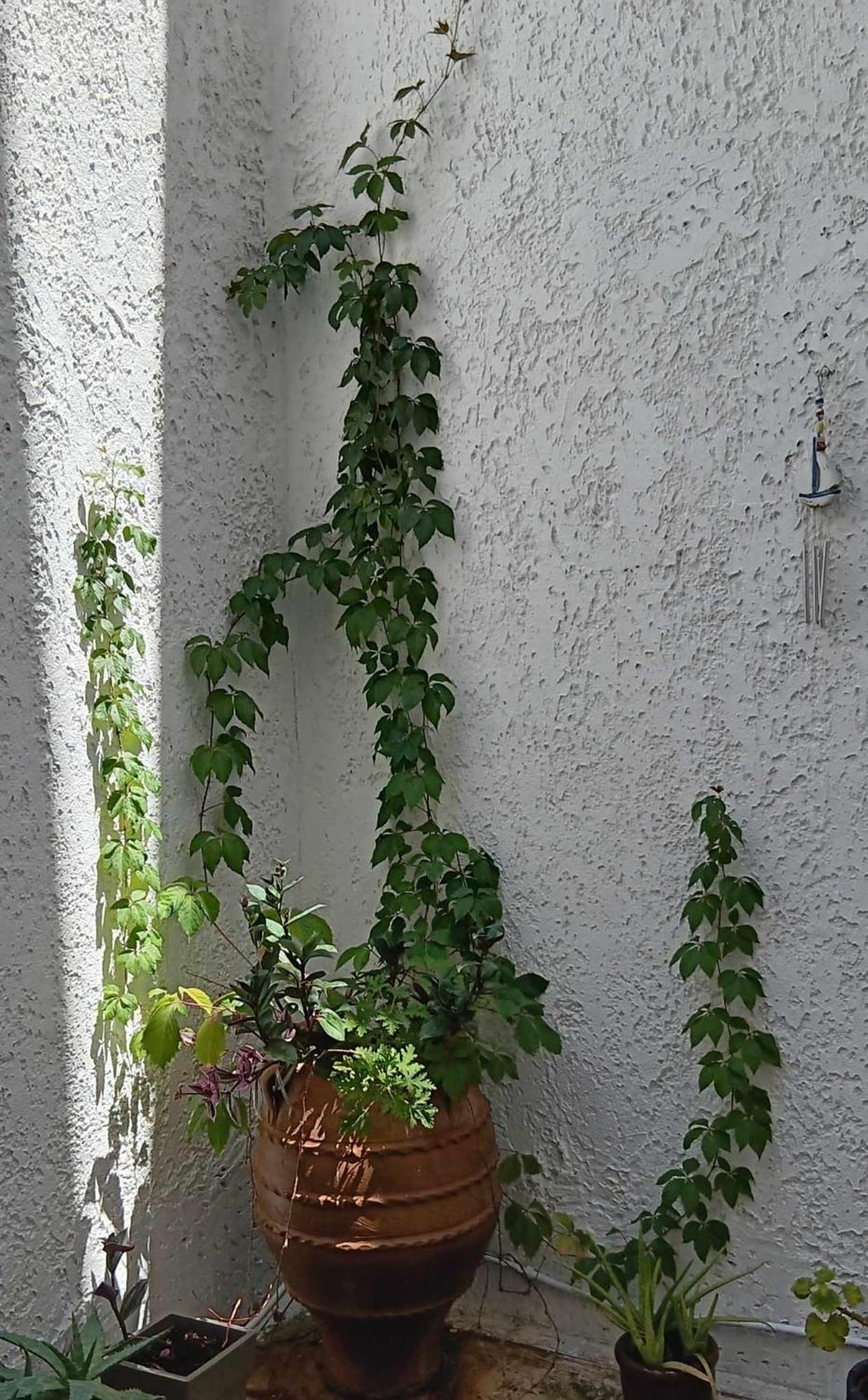 Athenian Asty Guesthouse Экстерьер фото